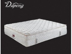 芦荟布双层独立弹簧五边床垫AY-3588