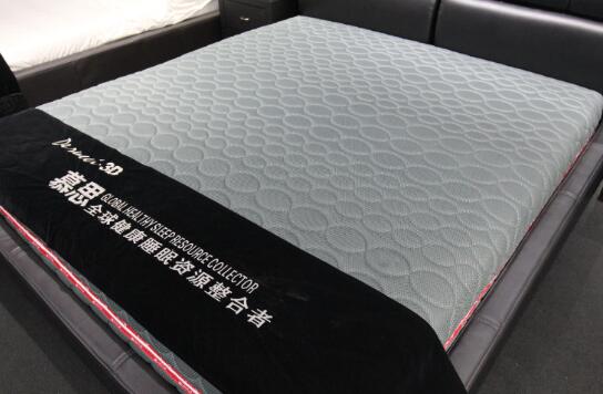 罗浮宫国际家具博览中心2FC09-10慕思