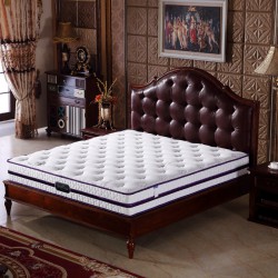 硬棕垫 席梦思弹簧床垫 主卧家具双人1.2/1.5/1.8米天然椰棕床垫